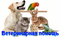 Ветеринарная помощь / Ветеринарный врач Сергеева Галина Анатольевна